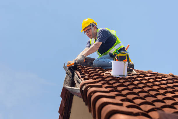 Best Storm Damage Roof Repair  in Bradley Gardens, NJ